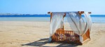 Sahl Hasheesh: What to Do in the Bay