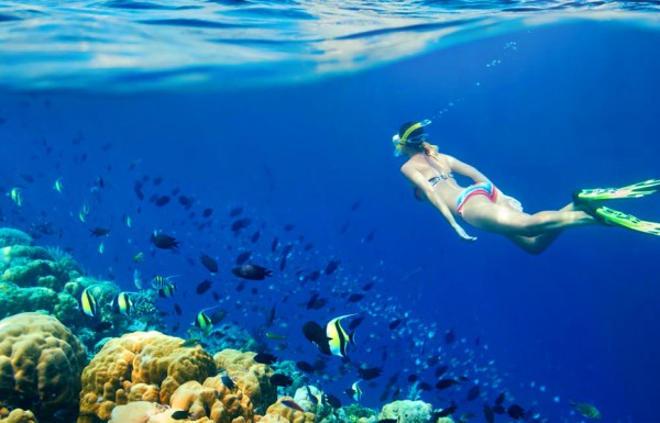 Semi-Submarine Reef Trip from Hurghada (2 Hours)