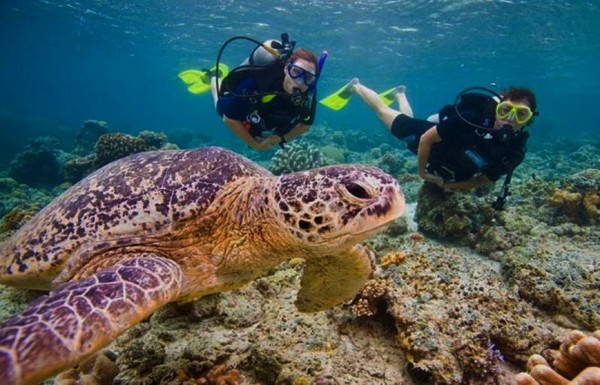 Discover Scuba Diving in Hurghada (No Certification Needed)
