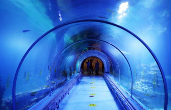 Hurghada Grand Aquarium Ticket