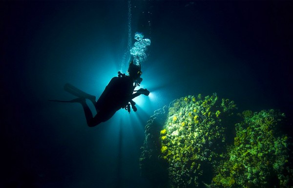 PADI Advanced Open Water Diver Course in Hurghada