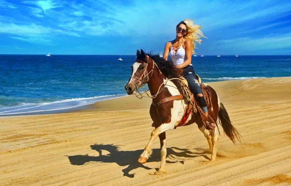 Horse or Camel Riding in Hurghada (2 Hours)