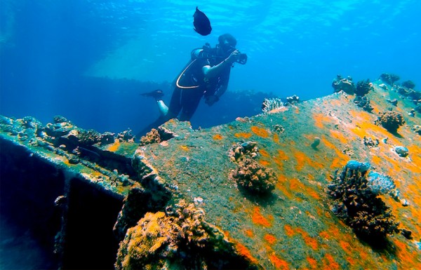 Full-Day Wreck Dive in Hurghada - El Mina