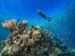 Things to Do in Hurghada: 15 That Are Actually Worth It
