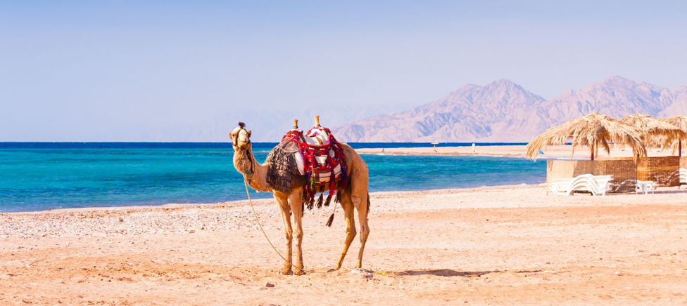 First Time in Hurghada: What to Know Before You Arrive