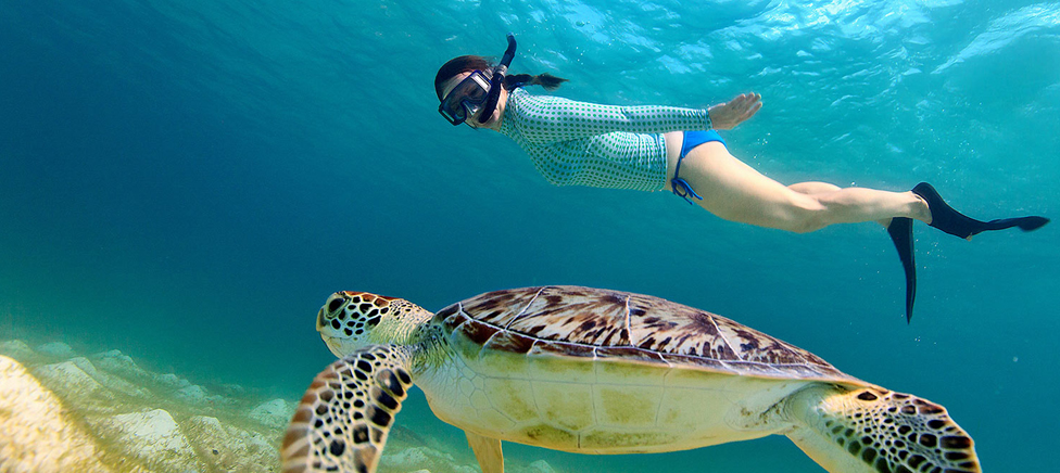 Snorkeling in Hurghada: Best Spots and How to Do It Well
