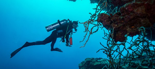 Scuba Diving in Hurghada: Sites, Conditions and Costs