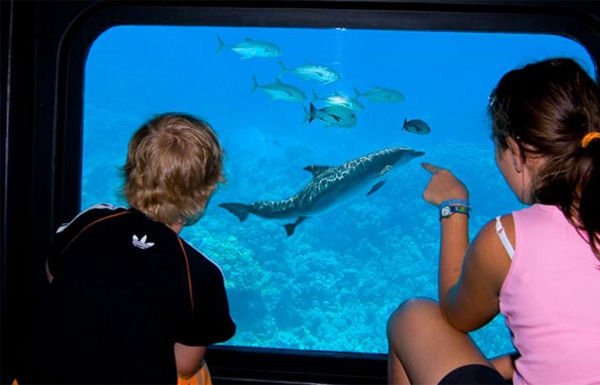 Semi-Submarine Trip from Sahl Hasheesh